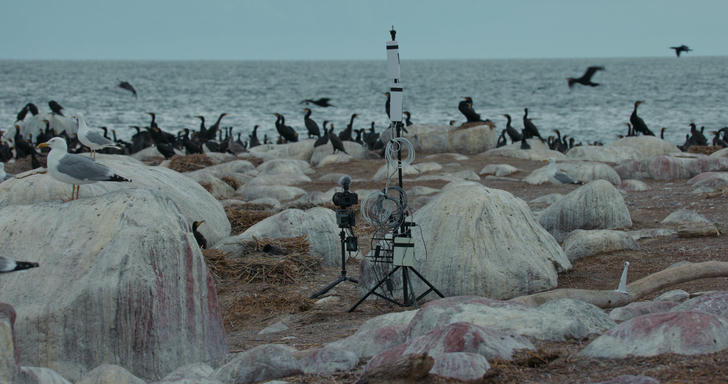 Описание скоро сделаем.