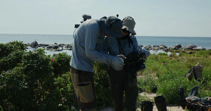 Описание скоро сделаем.