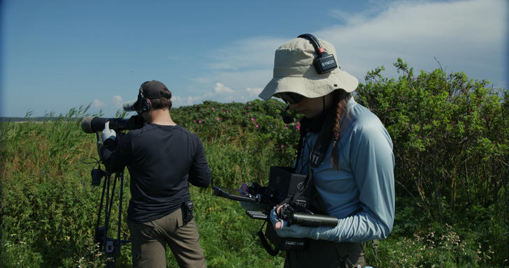 Описание скоро сделаем.